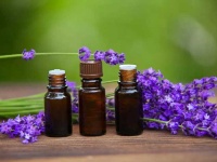 Essential oils may disrupt normal hormonal activity